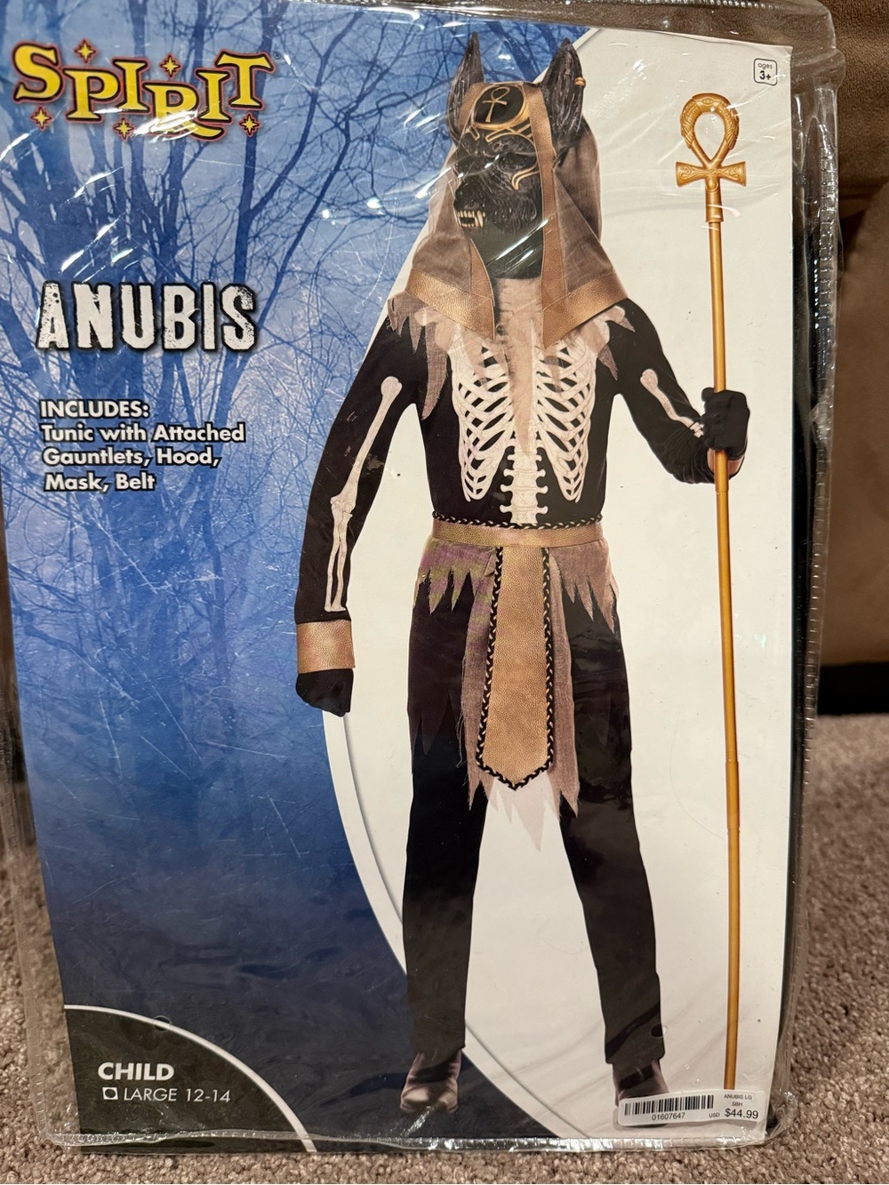 Spirit Anubis Kids Costume - Black and Gold
